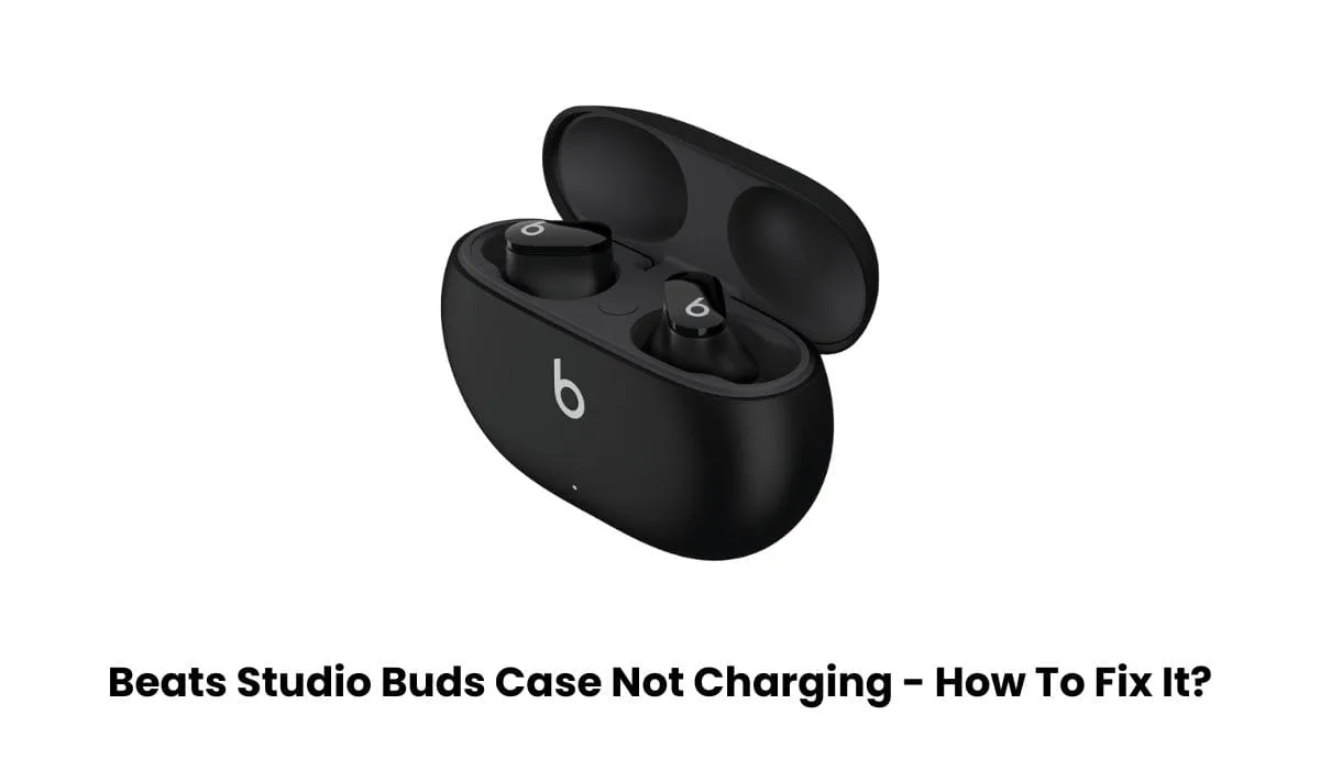 Beats Studio Buds Case Not Charging